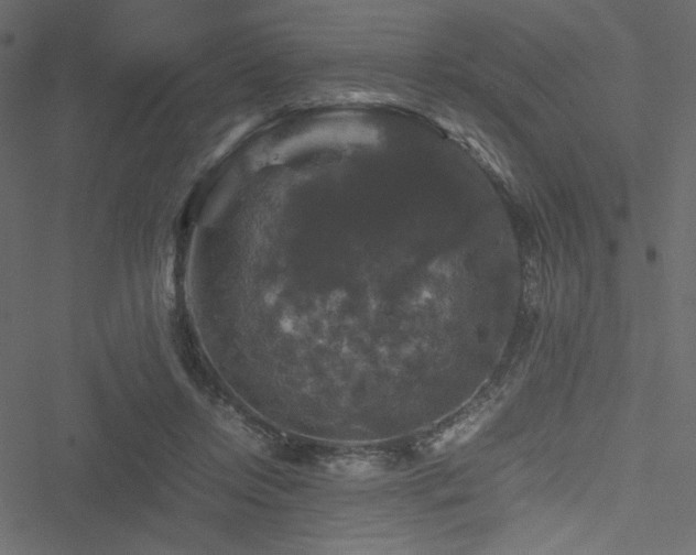 X0000051240358200506171116