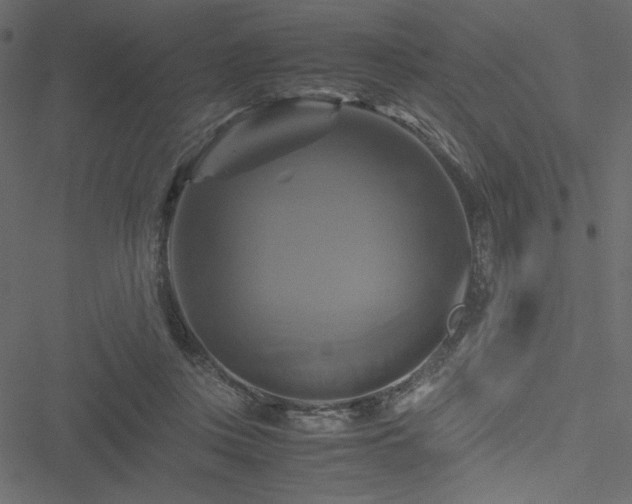 X0000051240359200506171116