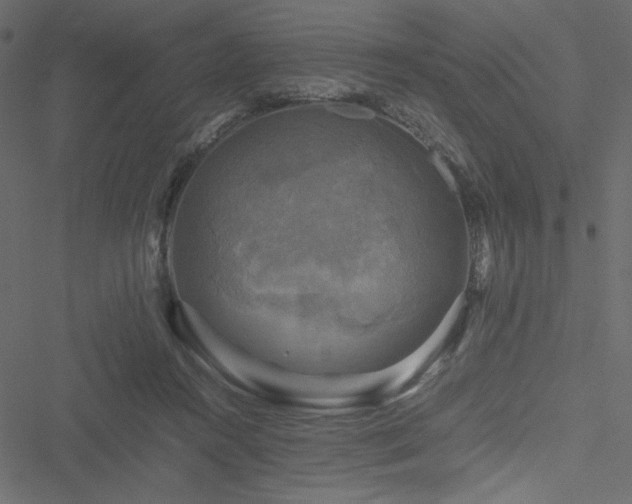 X0000051240360200506171116