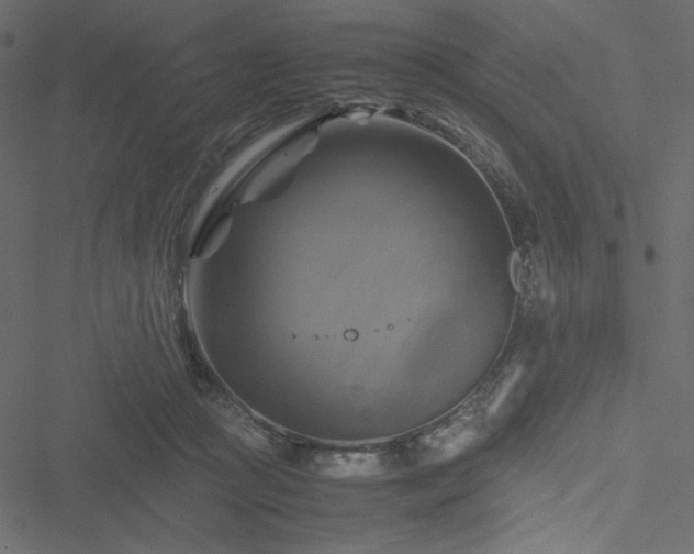 X0000051240361200506171116