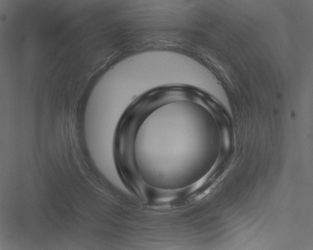 X0000051240362200506171116