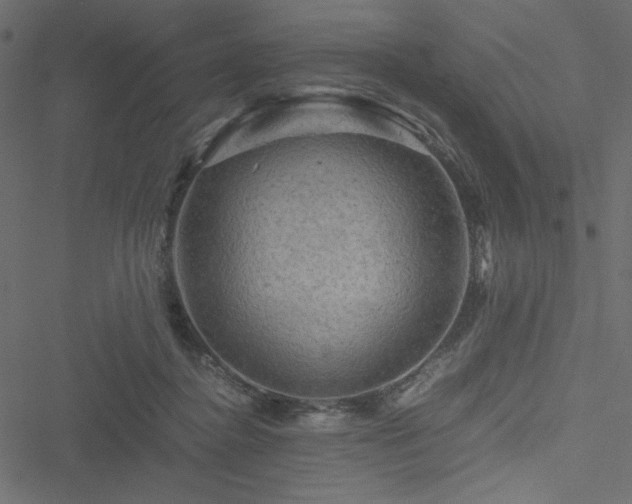 X0000051240364200506171116