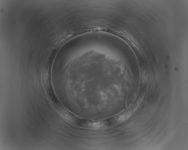 X0000051240365200506171116