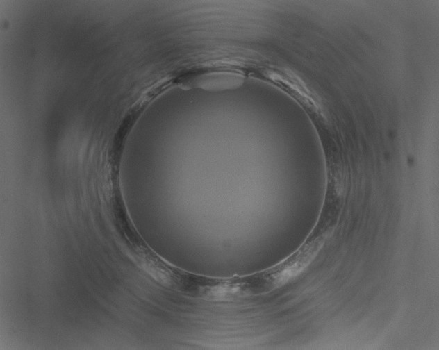 X0000051240366200506171116