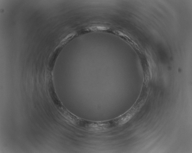 X0000051240367200506171116