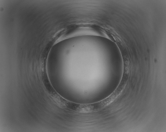 X0000051240368200506171116