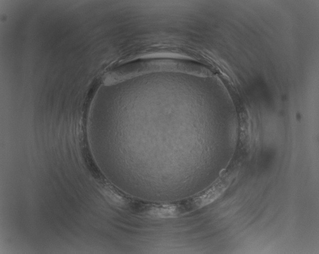 X0000051240369200506171116