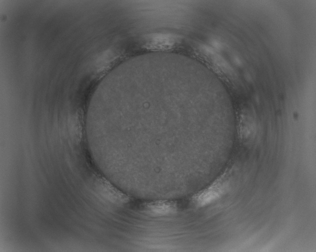 X0000051240370200506171116