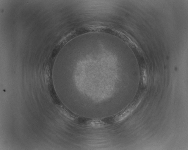 X0000051240372200506171116