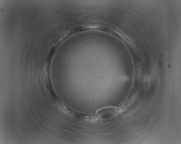 X0000051240373200506171116