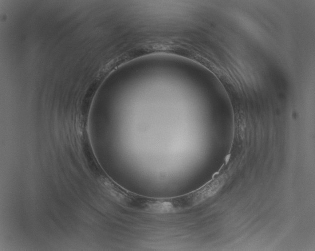 X0000051240374200506171116