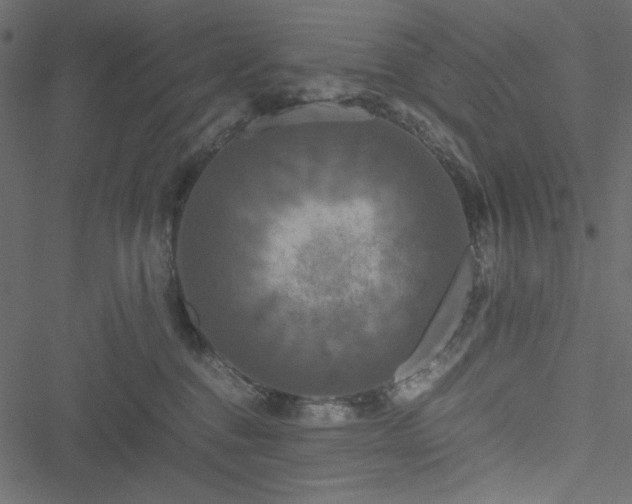 X0000051240376200506171116