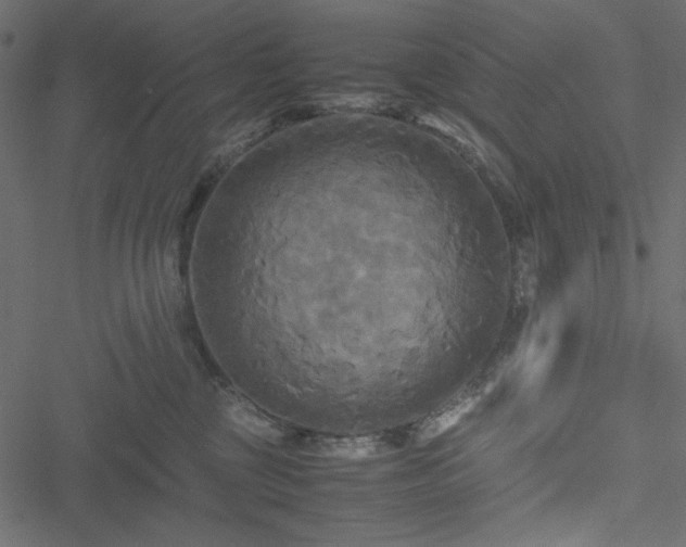 X0000051240377200506171116