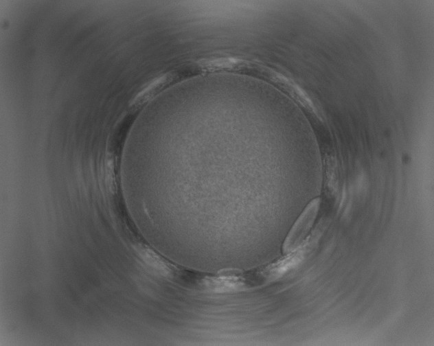 X0000051240378200506171116