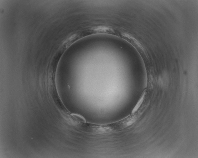 X0000051240379200506171116