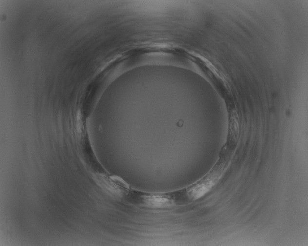 X0000051240380200506171116