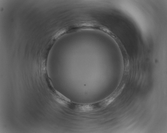 X0000051240383200506171116