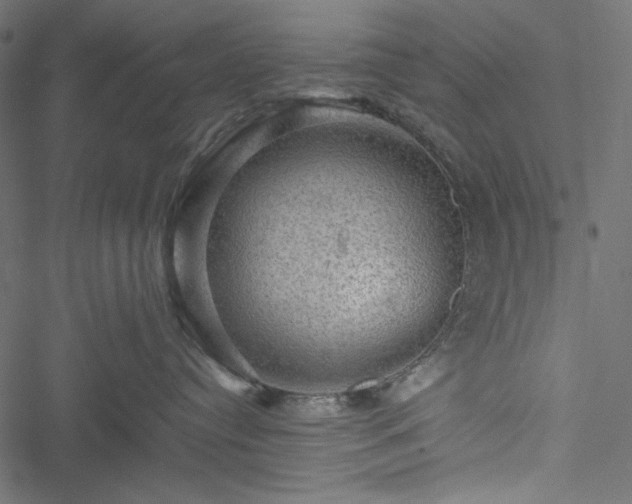 X0000051240384200506171116