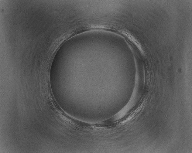 X0000051240385200506171116