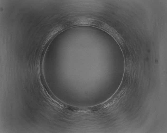 X0000051240386200506171116