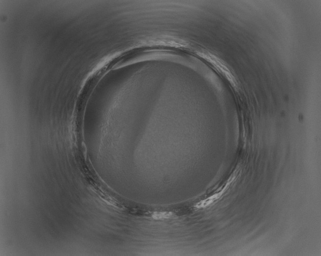 X0000051240388200506171116