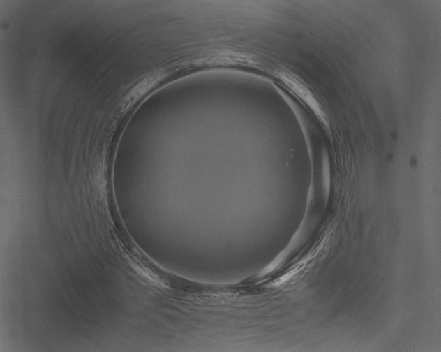 X0000051240389200506171115