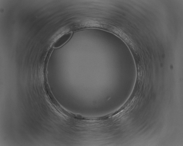 X0000051240390200506171115