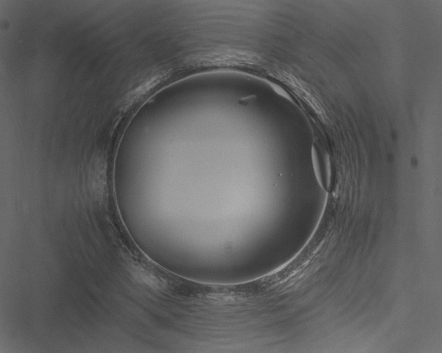 X0000051240394200506171115