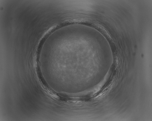 X0000051240395200506171115