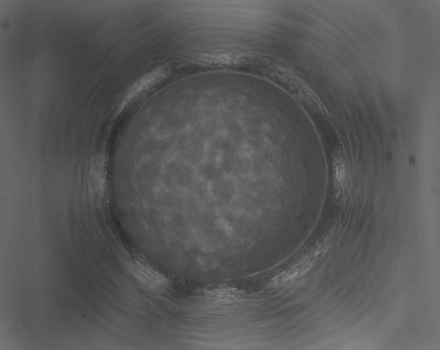 X0000051240396200506171115