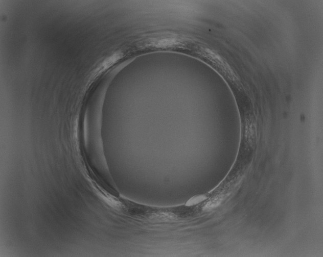 X0000051240397200506171115