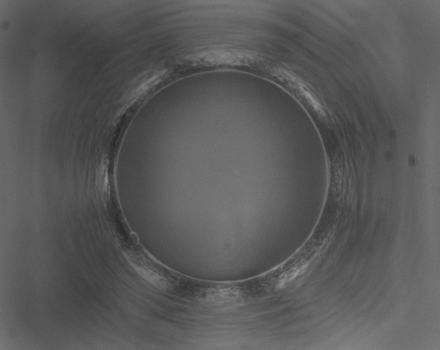 X0000051240398200506171115