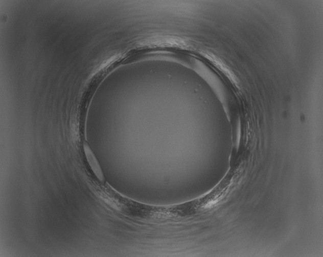 X0000051240399200506171115