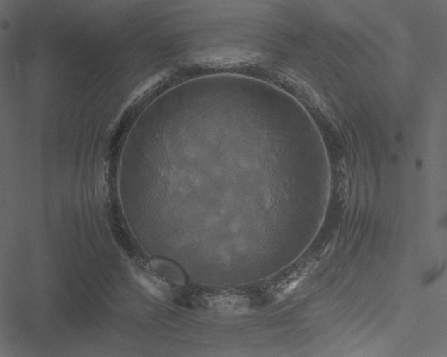 X0000051240400200506171115