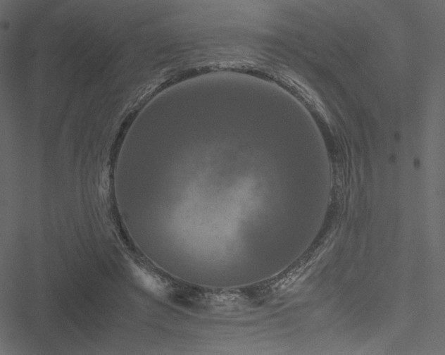 X0000051240401200506171115