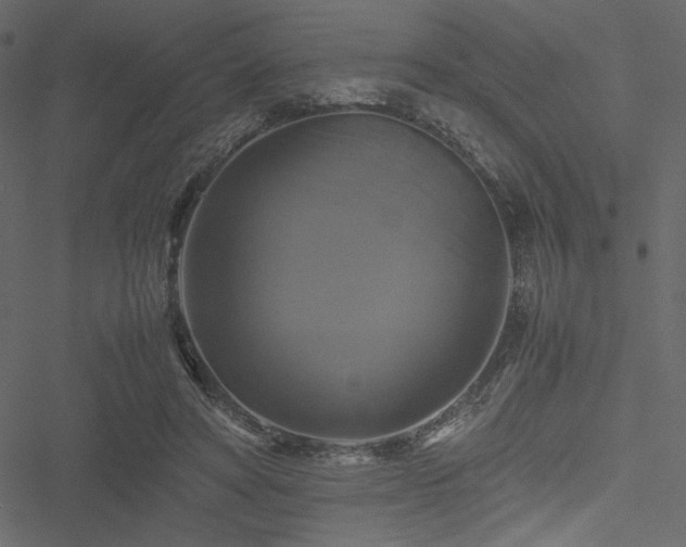 X0000051240402200506171115