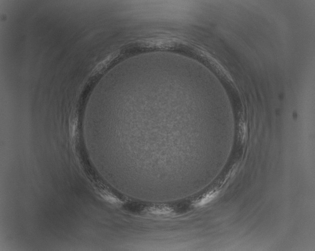 X0000051240403200506171115