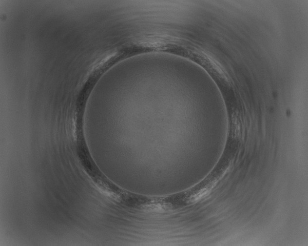 X0000051240404200506171115