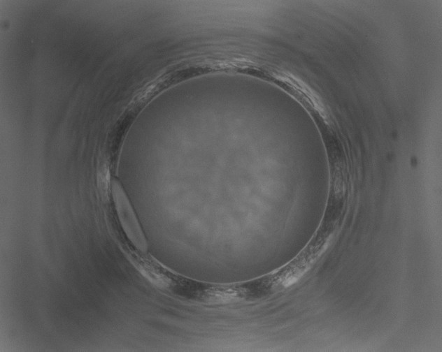 X0000051240405200506171115