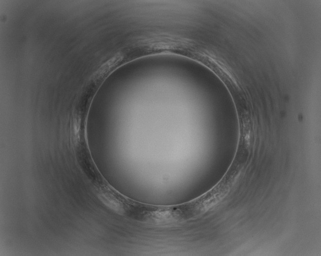 X0000051240406200506171115