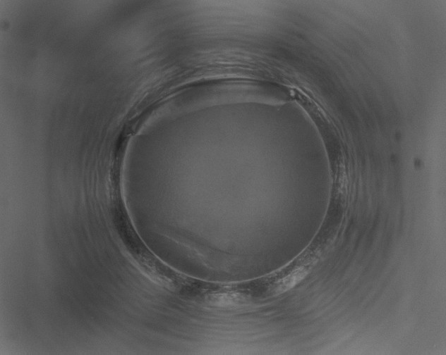 X0000051240408200506171115