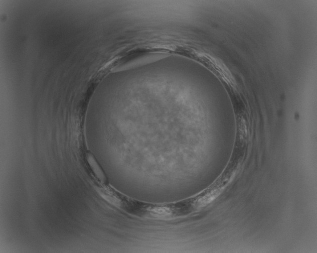 X0000051240409200506171115