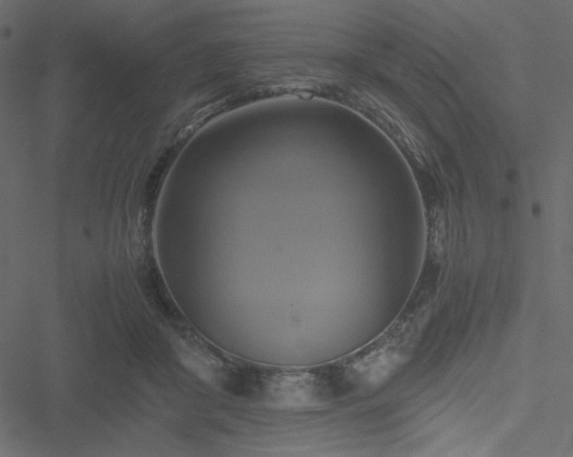 X0000051240410200506171115