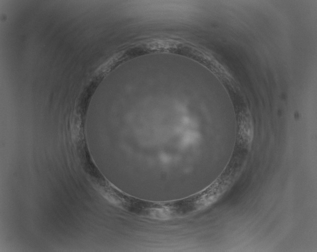 X0000051240411200506171115