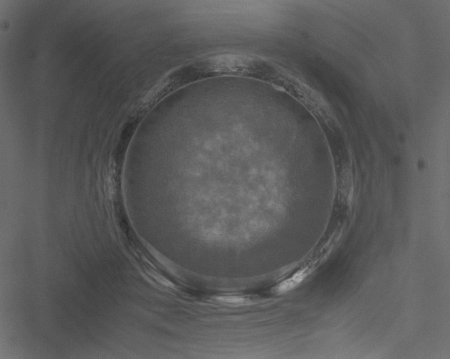 X0000051240413200506171115