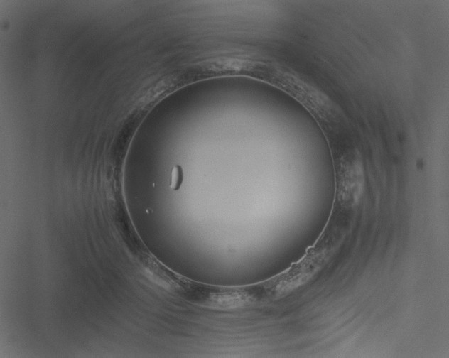 X0000051240414200506171115