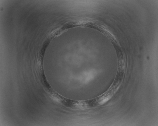 X0000051240415200506171115