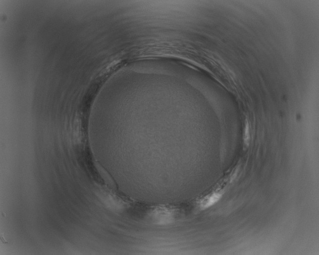 X0000051240416200506171115