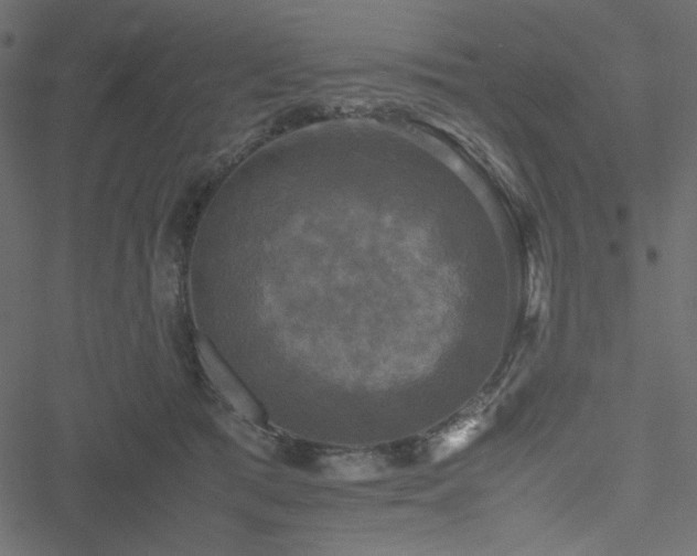 X0000051240417200506171115