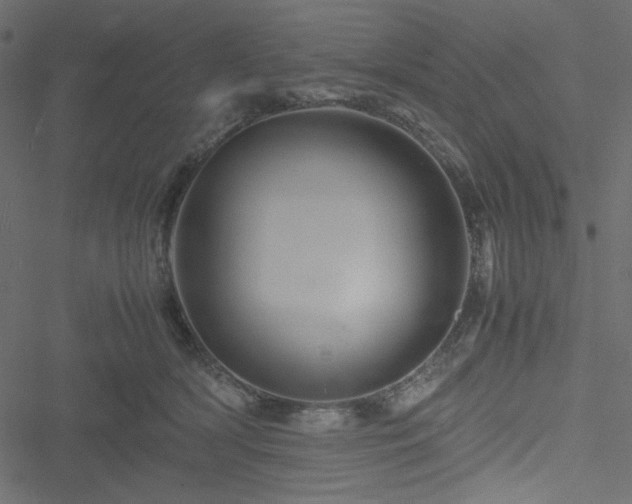 X0000051240418200506171115